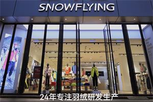 雪中飞SnowFlying